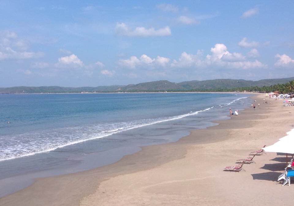 Recycling News That You Can Use – January 2020